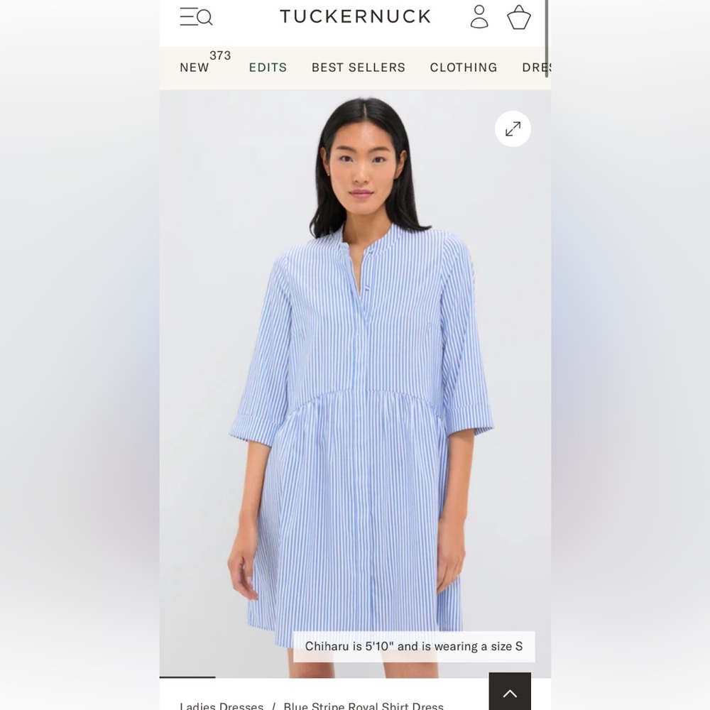 TUCKERNUCK NWT Blue and White Striped Dress